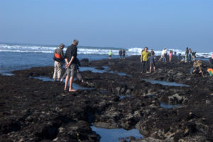 Fitz Tidal Pools