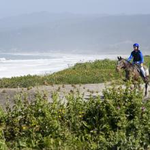 Horseback riding beach