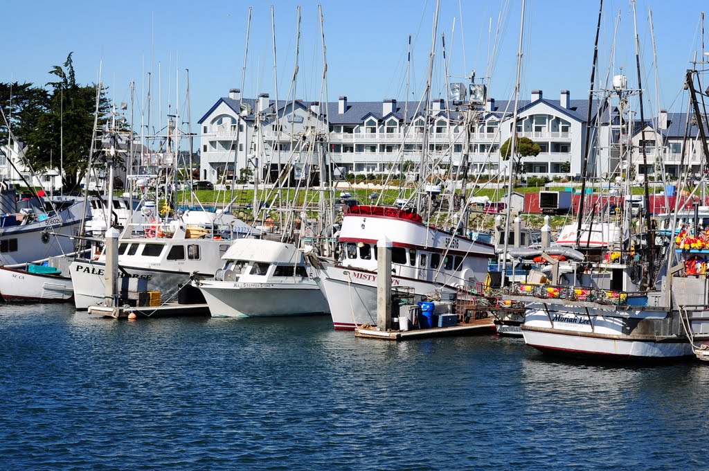 photo_of_harbor.jpg