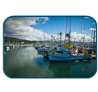 Pillar Point boats